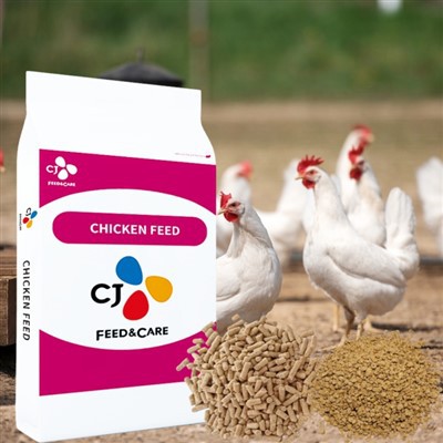 Бройлер үстерүче азык